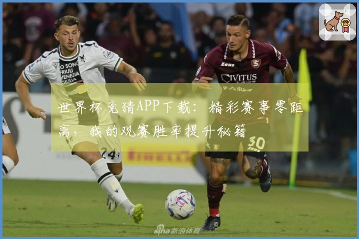 世界杯竞猜APP下载：精彩赛事零距离，我的观赛胜率提升秘籍