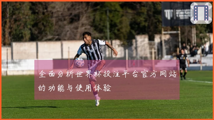 全面分析世界杯投注平台官方网站的功能与使用体验